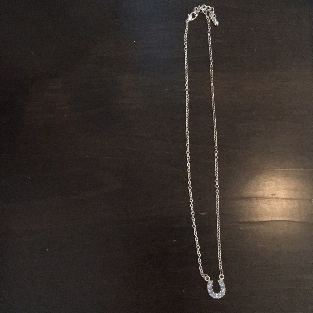 silver necklace with blue horseshoe